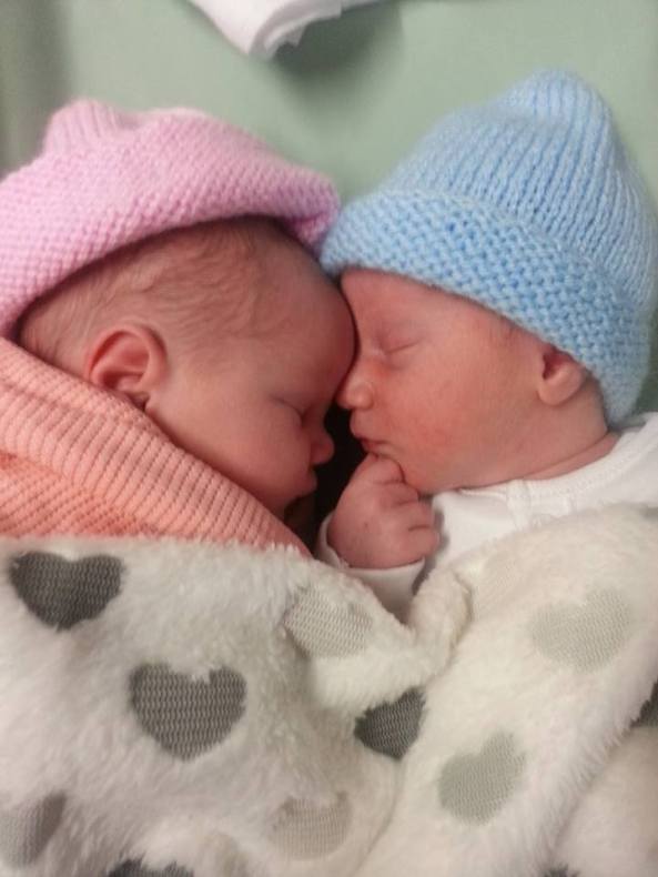 12509163_10153944828163854_3639705560545037847_n