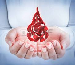 35507898-blood-cells-in-hands-shaped-blood-drop-donation-concept
